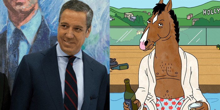 zaplana bocjack horse